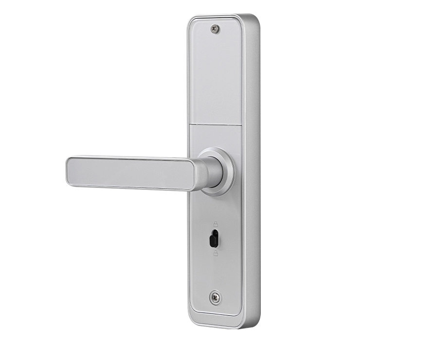 Access control system with electronic handle by HDWR company