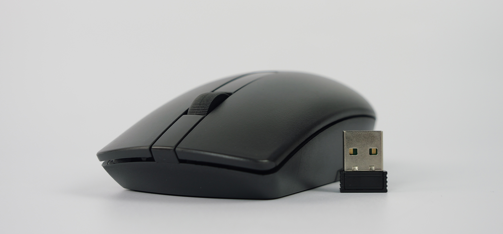 Počítačová a prenosná myš, domáca myš